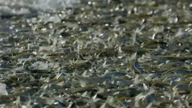 You Can Make A Difference | Best Motivational Video For Teachers & Trainers Speaker Munawar Zama In смотреть онлайн