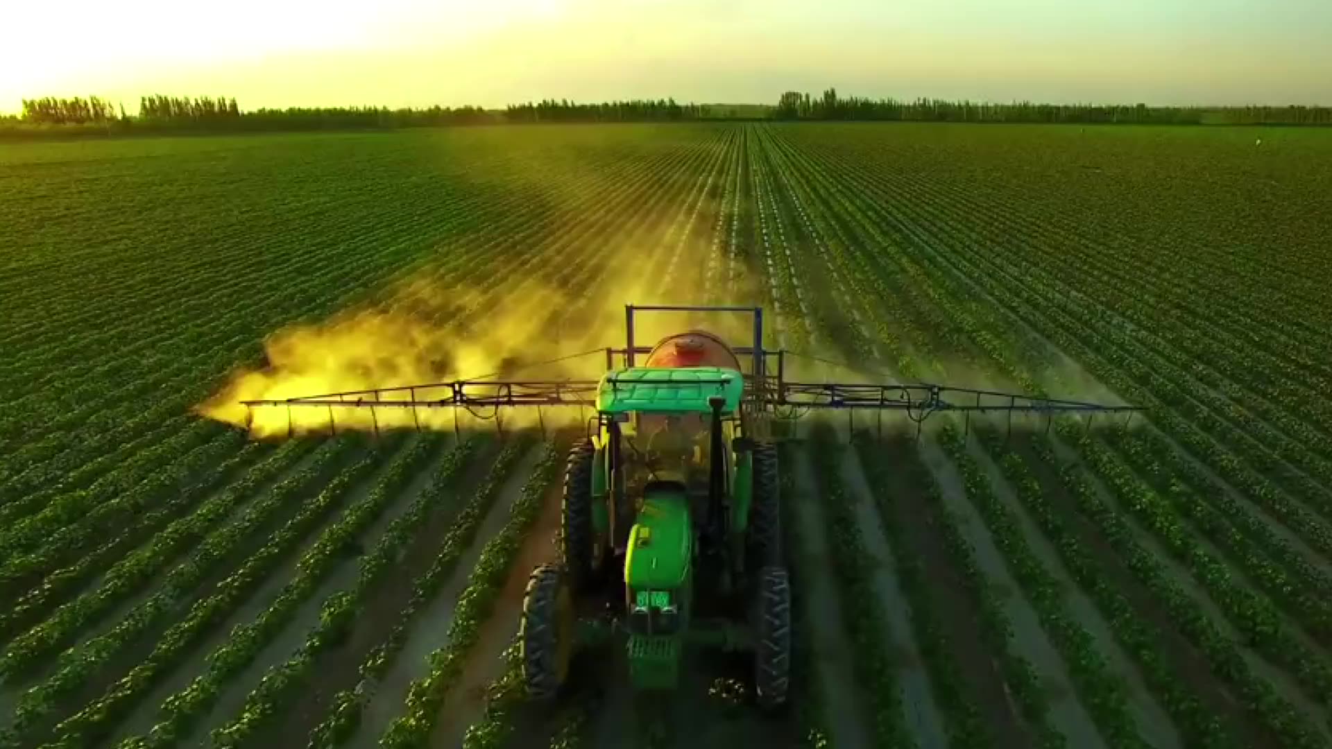 Правильное выращивание саженцев в питомнике #garden #seedling #transplant #farm смотреть онлайн