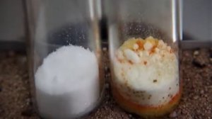 Каталитическое и некаталитическое разложение хлората калия бертолетовой соли