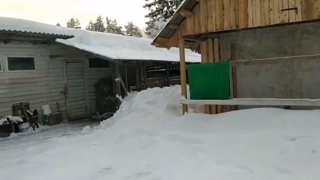 Winter in Estonia.Зима в Эстонии. смотреть онлайн