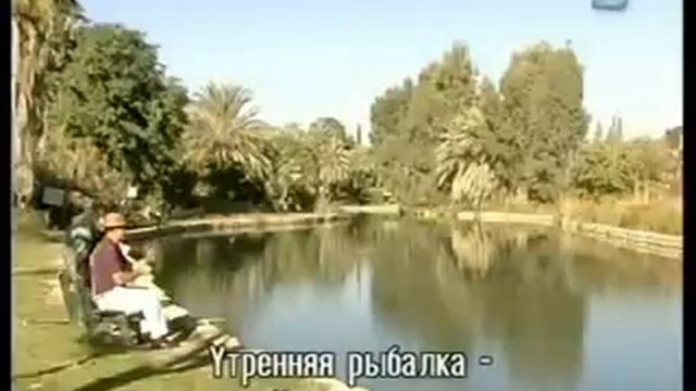 Киббуц Нир Давид смотреть онлайн