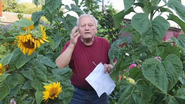 Советы начинающим. Часть 7. Заключительная, ответы на вопросы. смотреть онлайн