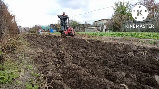 Вспашка переделанным плугом на мотоблоке Авангард. смотреть онлайн