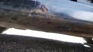 Осмотр перед началом работ(замена порога) на Nissan Qashqai.