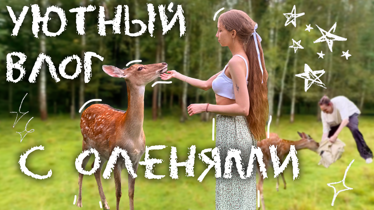 ₊˚⊹комфортный влог₊˚⊹ поездка в Арт-усадьбу Веретьево, гуляем по ферме, гладим оленей, cottagecore смотреть онлайн