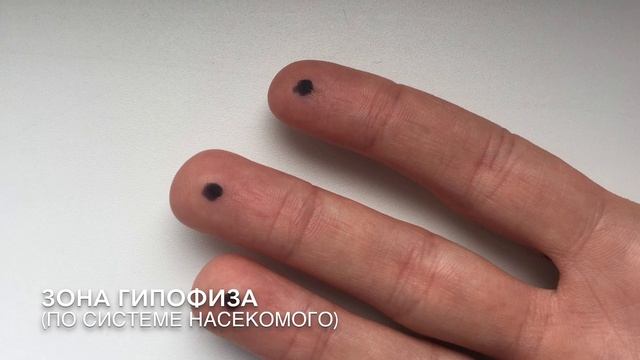 СУ-ДЖОК ТЕРАПИЯ В МАММОЛОГИИ! смотреть онлайн