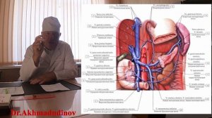 4я часть. Брюшная полость. (топография)  Профессор Ахмадудинов М.Г. ДГМУ