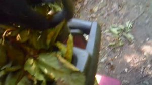 Садовый измельчитель ЗУБР - большая ветка