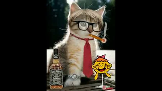 ХОРОШЕГО  НАСТРОЕНИЯ !  УЛЫБНИСЬ !мои друзья это Вам ОТ ВАльки ♥