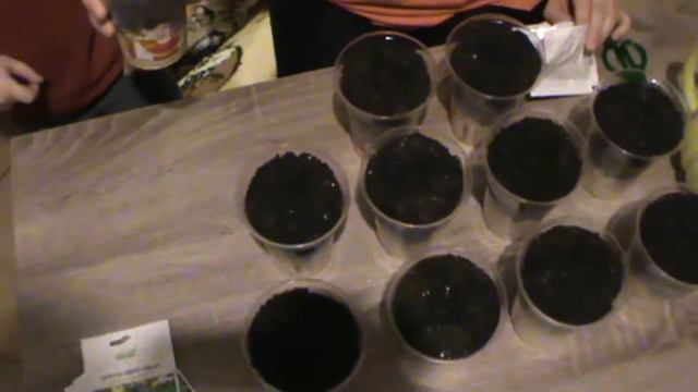 Посадка огурцов / Planting cucumbers смотреть онлайн