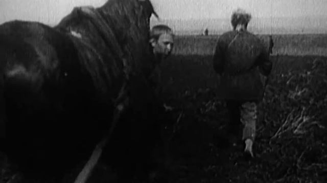 «Господин премьер министр», режиссёр Александр Столяров смотреть онлайн