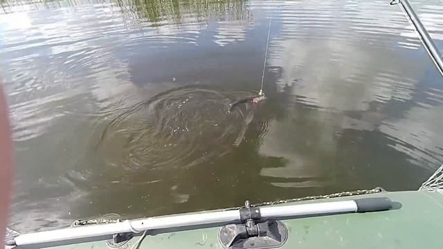 РЫБАЛКА В КАМЫШАХ! Ловля Щуки Осенью, в Октябре 2021. Подводная съемка приманок смотреть онлайн