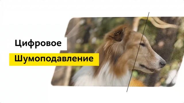 Телевизор Samsung UE55RU7300U смотреть онлайн