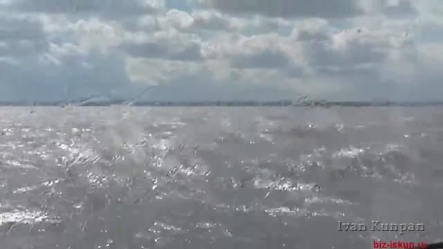 Финский залив в Питере (в Санкт-Петербурге) смотреть онлайн