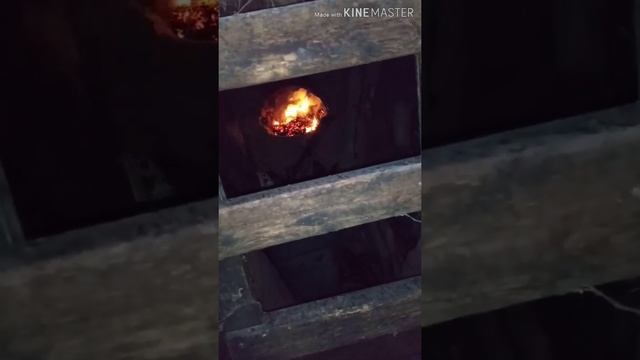 Что будет, если поджечь ведро листьев в моей землянке?! смотреть онлайн