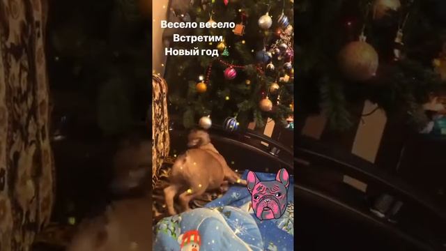 Что нужно собаке для счастья смотреть онлайн