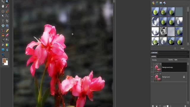 Soft Focus Photoshop Elements Tutorial