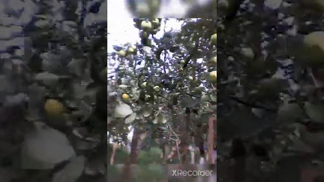 Бог идет к нам навстречу! смотреть онлайн