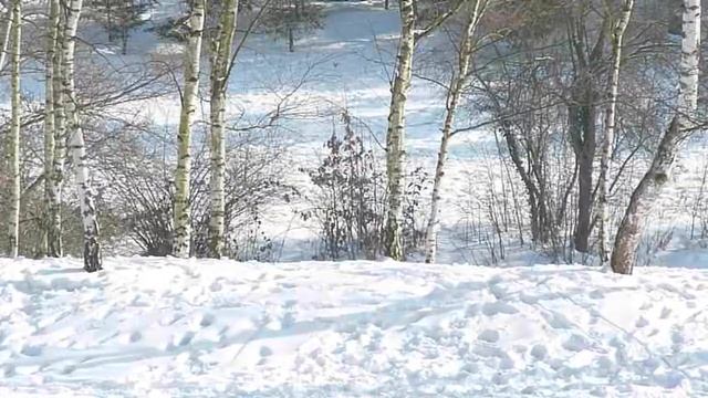 Das winterliche Fischtal in Berlin Zehlendorf смотреть онлайн