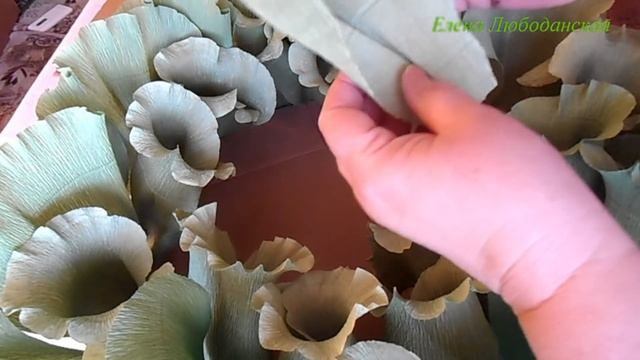 Капуста - гнездышко для фотосессии малышей смотреть онлайн