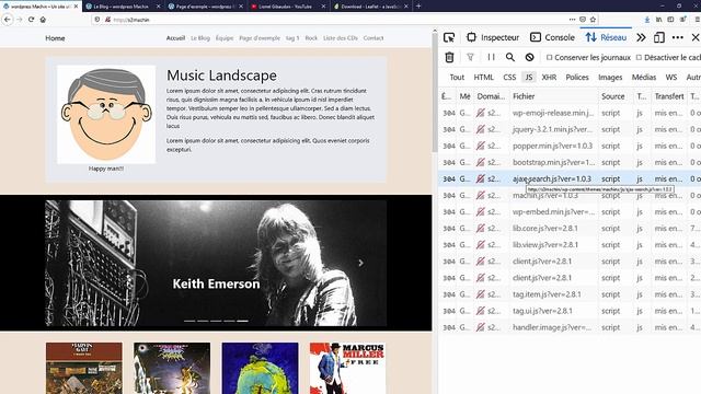 WordPress: Charger les styles et scripts de façon conditionnelle et optimisée смотреть онлайн