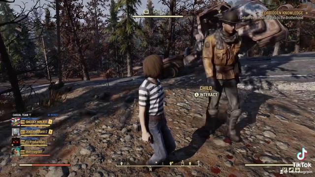 Fallout 76 - child and her kitty смотреть онлайн
