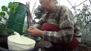 Квас для пионов Прополка огорода Покосила у соседей и улицу