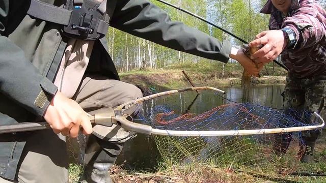 НА ЭТОЙ микро речке КРУПНЫЕ ЛАПТИ КАРАСИ, ЗАГИБАЮТ кивок!!! Рыбалка в мае 2022 смотреть онлайн