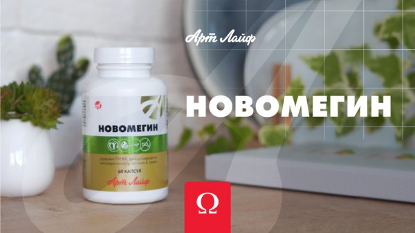 НОВОМЕГИН