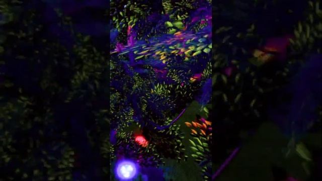 WE LIVE WE LOVE WE LIE ??#shorts #roblox #welivewelovewelie #smurfcat #royalehigh смотреть онлайн