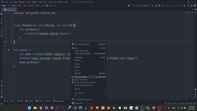 #6 VISIBILITY MODIFIERS - BELAJAR OOP DI KOTLIN смотреть онлайн