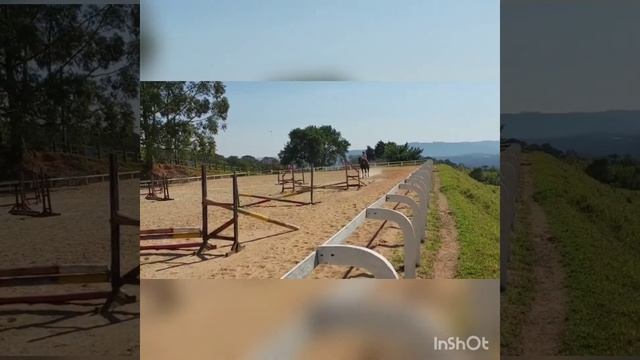 eu estava inspirada (treino de hipismo 28/08/2022) смотреть онлайн