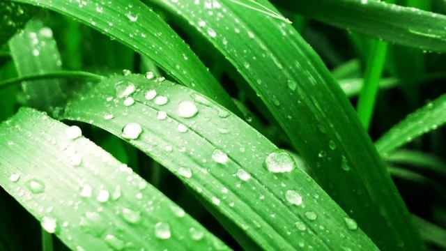 Просто ты есть. Очередная песня на мои стихи смотреть онлайн