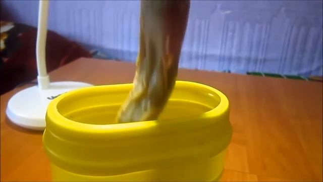 Как сделать гомункула ШОК! Взрослый гомункул из яйца! Homunculus