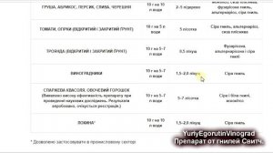 ? Виноград ГНИЕТ!  Как СПАСТИ? Фунгицид Свитч лучший от гнилей винограда. Какой срок ожидания?
