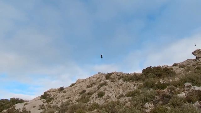 #5 Análisis de ruta: Recingle Alt de la Serrella desde Benasau смотреть онлайн
