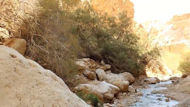 Ein Bokek Nature Reserve смотреть онлайн