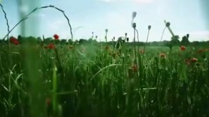 Игорь Бжезицкий «Одинокий монах»