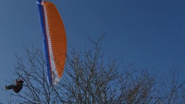Парапланы в Коломенском