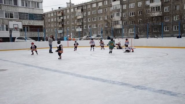 Сибирский Тигр vs Лига (мл.группа) смотреть онлайн