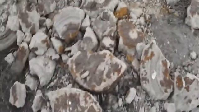 Мины блин!!! смотреть онлайн