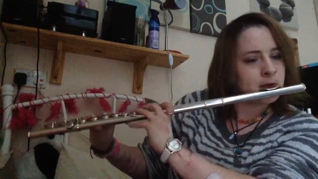 Evanescence- Lost In Paradise- Flute Cover смотреть онлайн