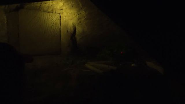 Воронежский заповедник смотреть онлайн