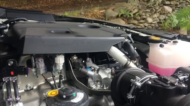 2017 Toyota Hilux/Revo Mk8 2.4 2GD-FTV VNT Turbo Diesel Engine Start Up + Rev Sound