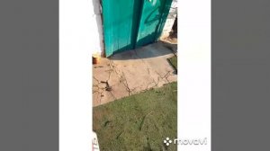 Карбюратор PZ-30 на яву 634