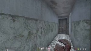 прохождения DayZ с нуля