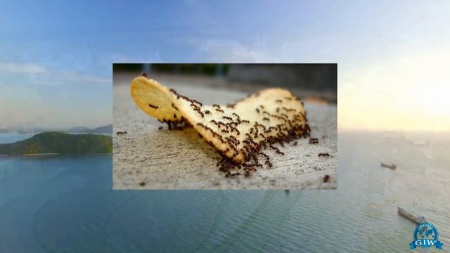 Таиланд-ТОП 10 лайфхаков для тех, кто едет отдыхать смотреть онлайн