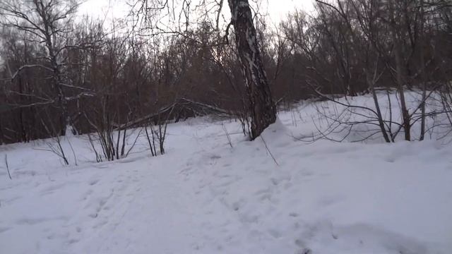 Сегодняшняя сенсация в Барнауле! смотреть онлайн