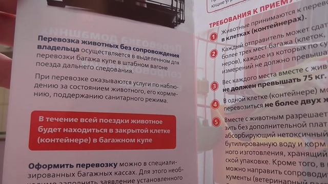 Перевозка ЖИВОТНОГО без ХОЗЯИНа на поезде - услуга РЖД коты собаки лисы-феньки железные дороги смотреть онлайн