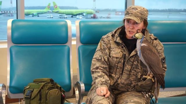 Ника Рыжова-Аленичева об авиационной орнитологии смотреть онлайн